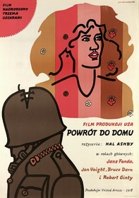 Powrot do domu Mlodozeniec poster