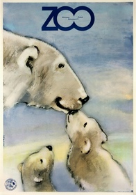 ZOO Bears Swierzy poster