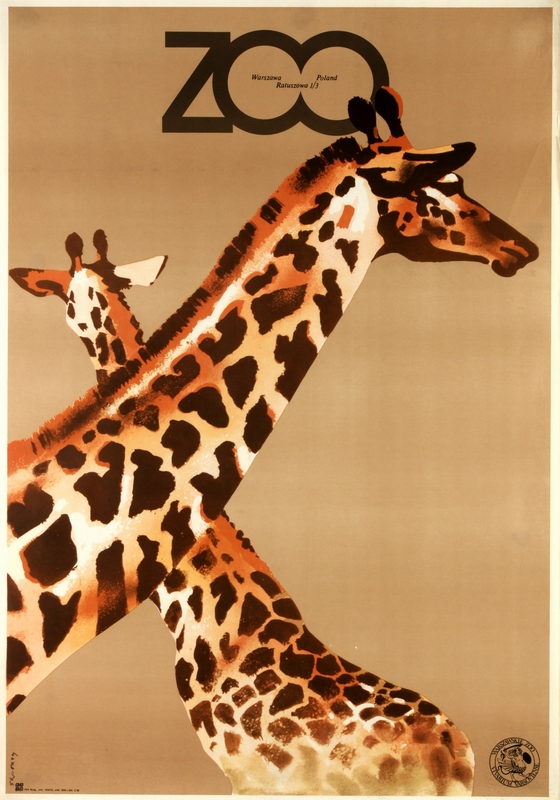ZOO Giraffes waldemar swierzy poster ZOO Giraffes swierzy poster