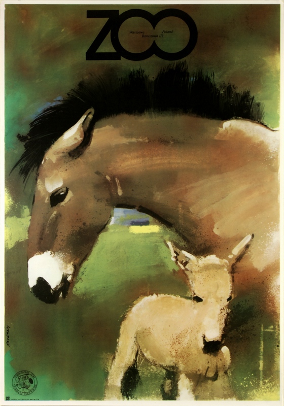 ZOO - konie, ZOO Horses, Swierzy Waldemar