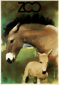 ZOO Horses Swierzy poster