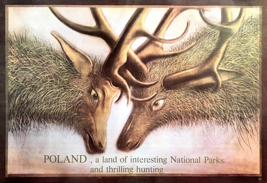 Polska, kraina Parków Narodowych i polowań, Poland, a land of interesting National Parks and thrilling hunting, Czerniawski Jerzy