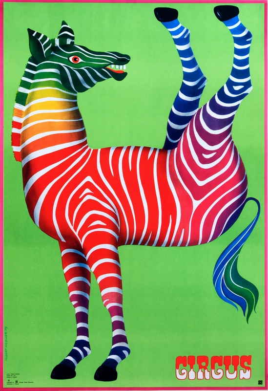 Cyrk, zebra, Circus Zebra, Hilscher Hubert