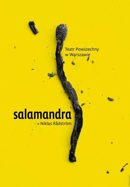 Salamandra, Salamander, Homework Joanna Gorska Jerzy Skakun