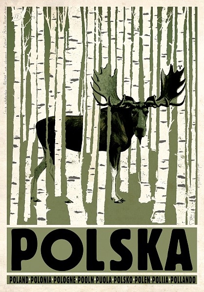 Brzezina, Polska, Birch Wood, Poland, Kaja Ryszard