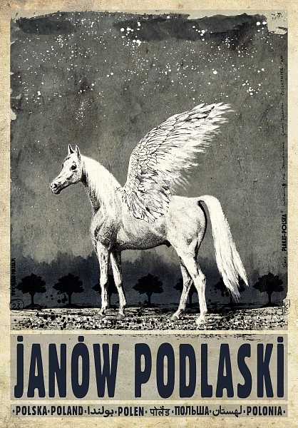 Janów Podlaski, Polska, Janow Podlaski, Poland, Kaja Ryszard Janów Podlaski, Polska, Janow Podlaski, Poland, Kaja Ryszard