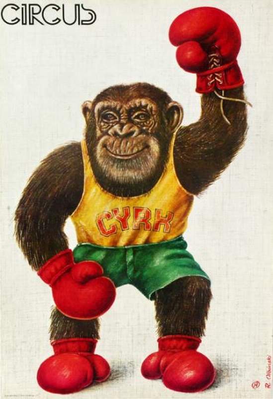Cyrk Małpka bokser, Circus Boxing Monkey, Olbinski Rafal