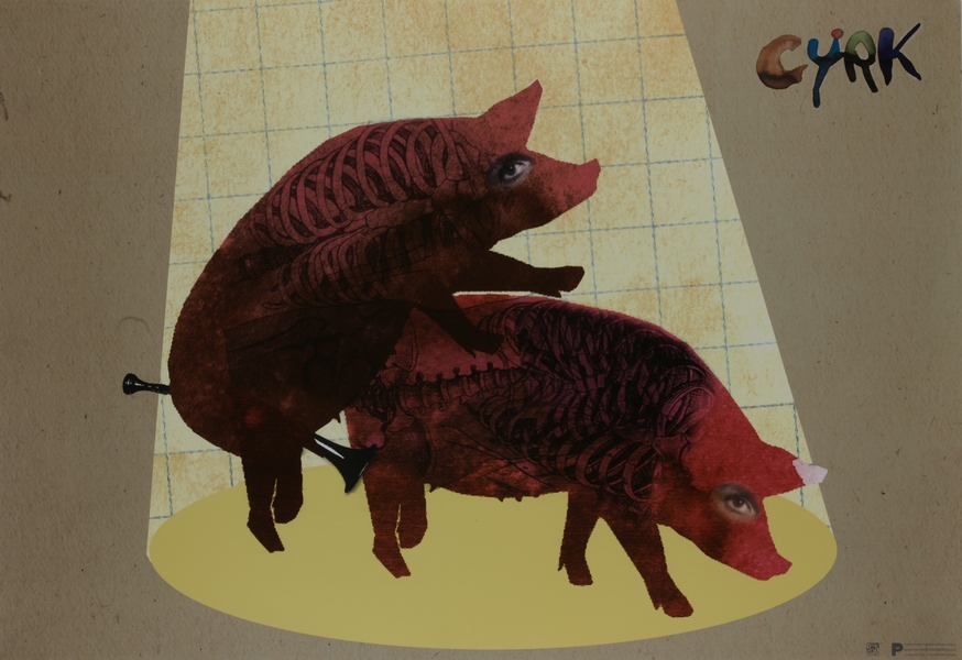 Cyrk Swinki, Circus Pigs, Renkas Kaja Cyrk Swinki, Circus Pigs, Renkas Kaja