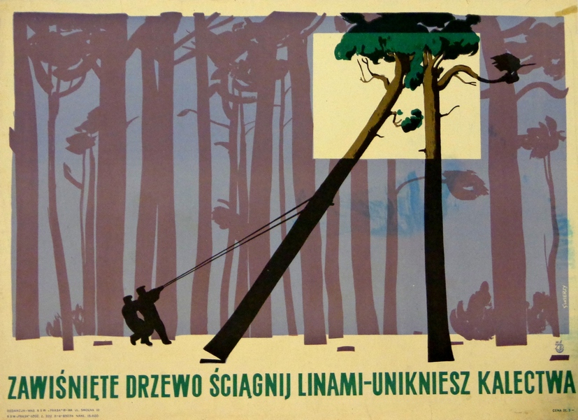 Zawiśnięte drzewo ściągnij linami - unikniesz kalectwa - BHP, Pull up a hanging tree with a ropes - you will avoid disability - Health and Work Safety, Swierzy Waldemar