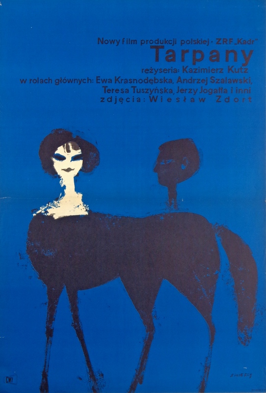 Tarpany, Wild Horses, Swierzy Waldemar