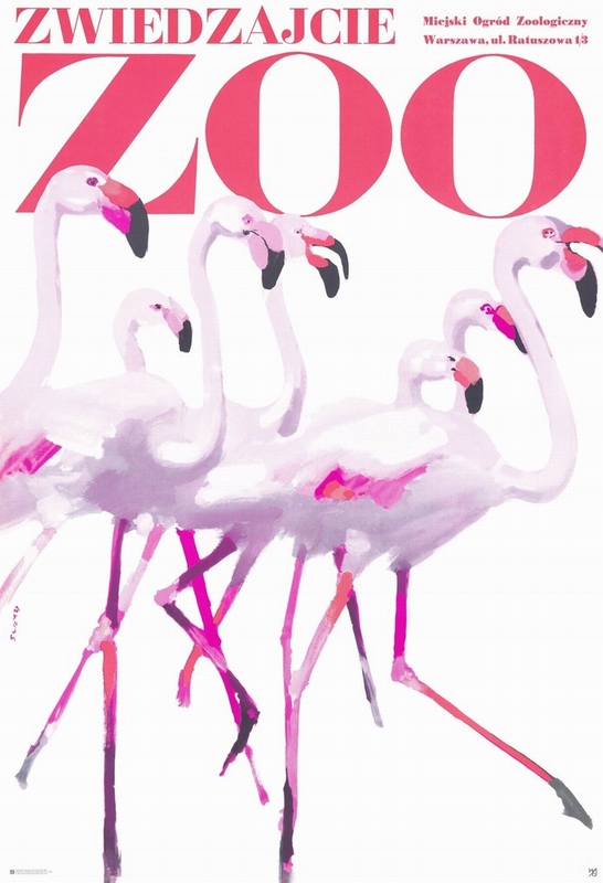 Zwiedzajcie ZOO - flamingi, Visit the ZOO - Flamingos, Swierzy Waldemar Zwiedzajcie ZOO - flamingi, Visit the ZOO - Flamingos, Swierzy Waldemar