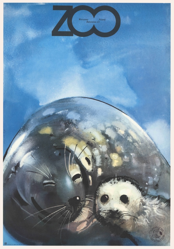 ZOO Foki szare, ZOO Grey Seals, Swierzy Waldemar ZOO Foki szare, ZOO Grey Seals, Swierzy Waldemar