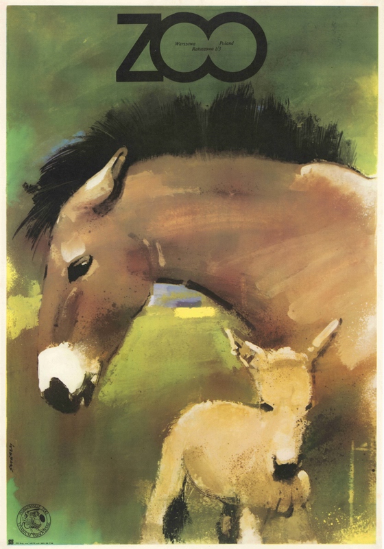 ZOO Konie Przewalskiego, ZOO Przewalski Horses, Swierzy Waldemar ZOO Konie Przewalskiego, ZOO Przewalski Horses, Swierzy Waldemar