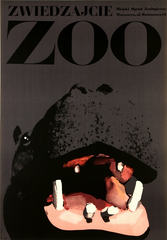 ZOO Hipopotam, ZOO Hippo, Swierzy Waldemar